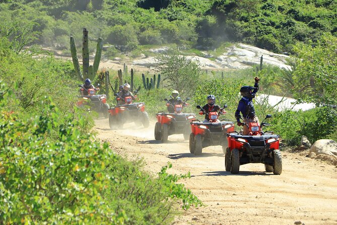ATV Tour, Camel Ride, Tequila Tasting and Mexican Buffet Lunch - Two Baja activities in one half-day