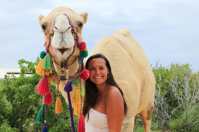 ATV Tour, Camel Ride, Tequila Tasting and Mexican Buffet Lunch - The ATV ride through desert and canyon trails