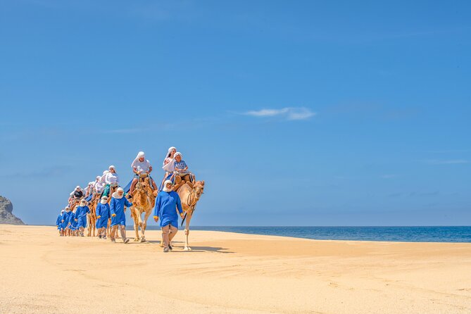 ATV Tour, Camel Ride, Tequila Tasting and Mexican Buffet Lunch - The camel ride beside the Pacific