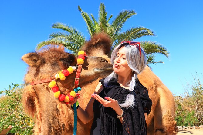 ATV Tour, Camel Ride, Tequila Tasting and Mexican Buffet Lunch - The real price, including the extras