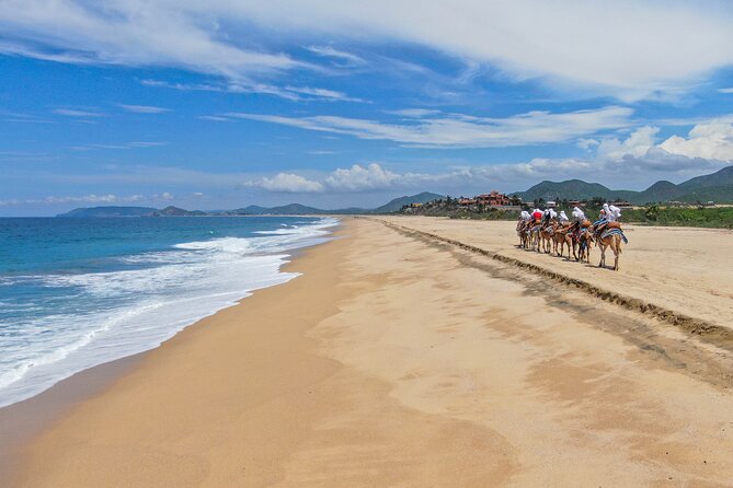 ATV Tour, Camel Ride, Tequila Tasting and Mexican Buffet Lunch - Who will enjoy this outing most