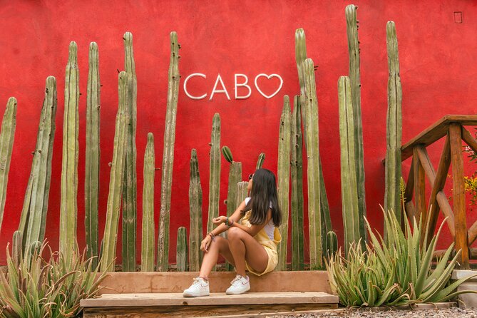 ATV Tour, Camel Ride, Tequila Tasting and Mexican Buffet Lunch - Small details that can improve your day