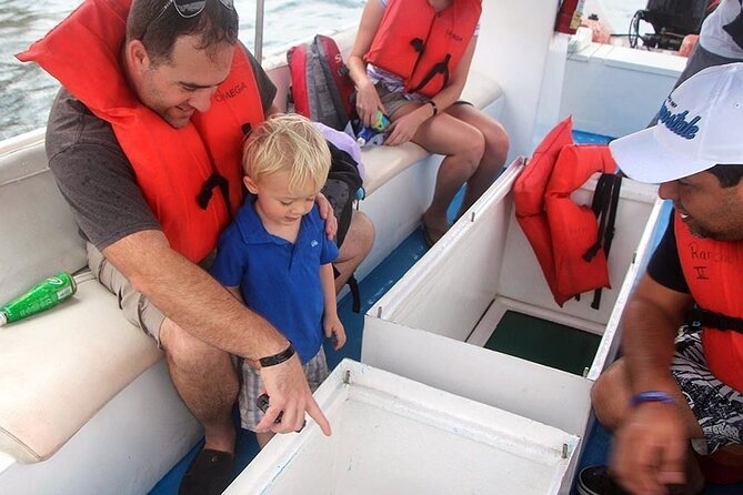 Authentic Cabo San Lucas Tour - The glass-bottom boat and Cabo’s famous rocks