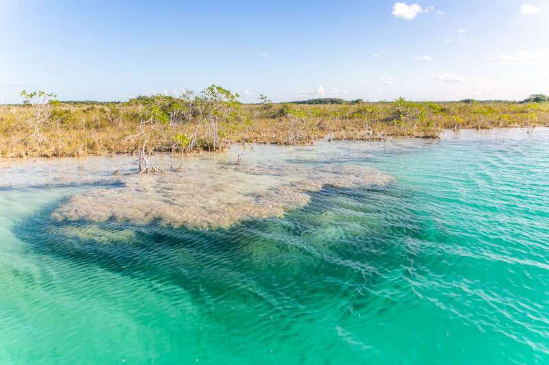 Bacalar: 3 Hour Boat Trip with Swimming & Drinks - Bird Island combines wildlife and another swim
