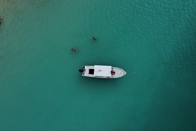 Bacalar Boat Tour and Visit to Cenotes - Bird Island and Pirates Channel