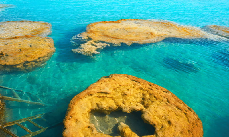 Bacalar: Lagoon, Pirate Canal, Stromatolite Day Trip w/Lunch - Isla de los Pájaros and a quieter pause