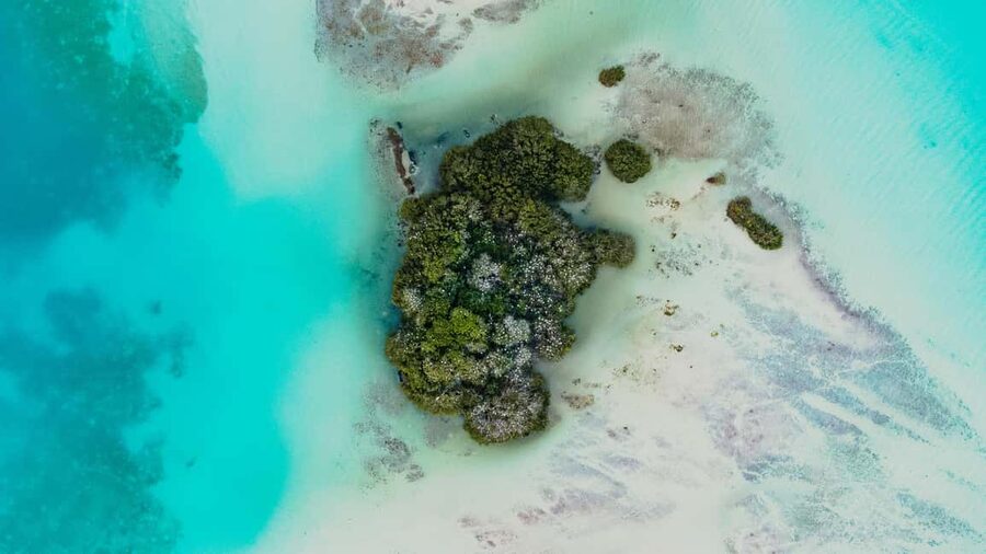 Bacalar Lagoon Sailing Tour with Open Bar and Mexican Lunch - Is $78 a fair price?