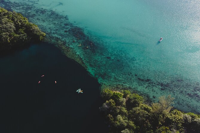Bacalar Lagoon Sightseeing Boat Tour with Open Bar and Snacks - Cocalitos and the living stones