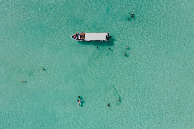 Bacalar Lagoon Sightseeing Boat Tour with Open Bar and Snacks - The dark water of the Black Cenote
