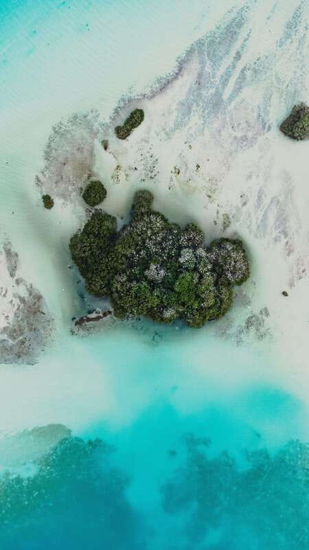Bacalar Lagoon Sightseeing Boat Tour with Open Bar & Snack - Cenote Negro and the darker water