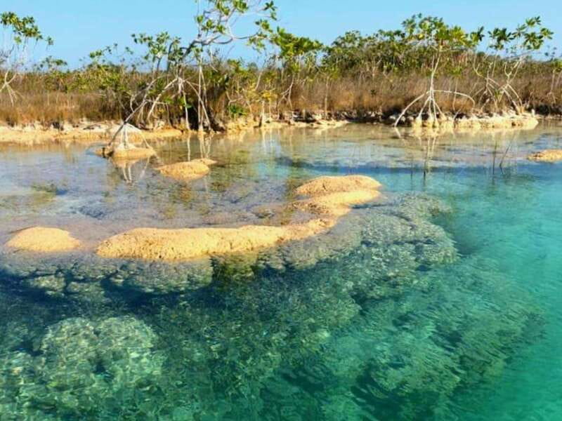 Bacalar: Magnificent Bacalar Lagoon Exclusive Boat Tour - What $127 per person buys you