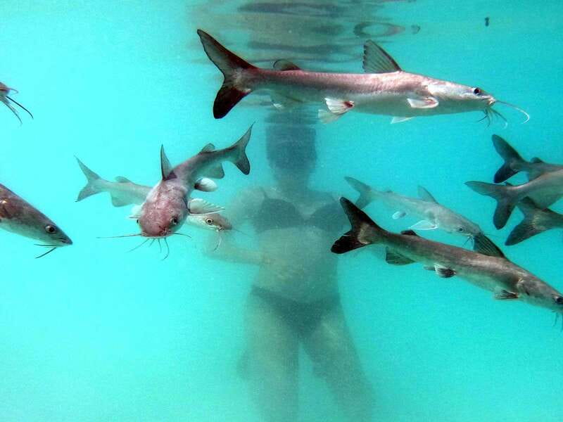Bacalar: Magnificent Bacalar Lagoon Exclusive Boat Tour - The traditional route and the changing colors