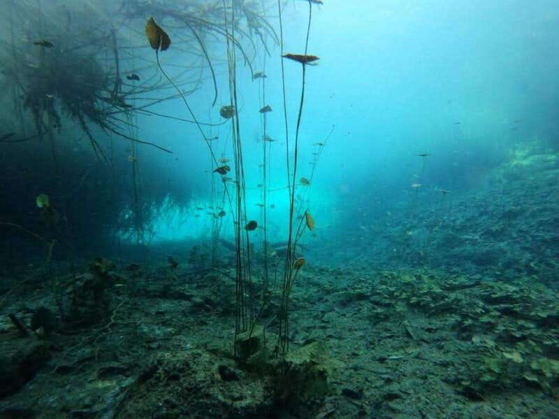 Bacalar: Magnificent Bacalar Lagoon Exclusive Boat Tour - The Rapids Channel and Pirates Channel
