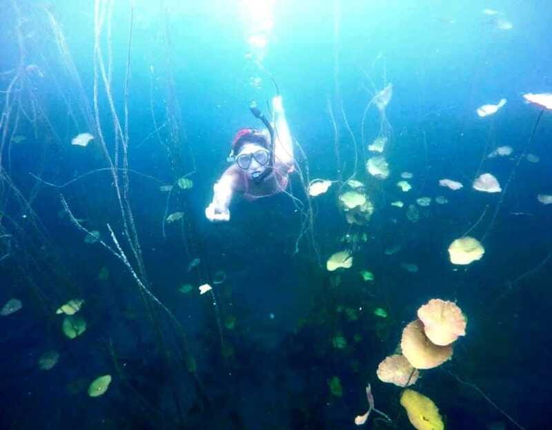 Bacalar: Magnificent Bacalar Lagoon Exclusive Boat Tour - Swimming and snorkeling without a rushed schedule