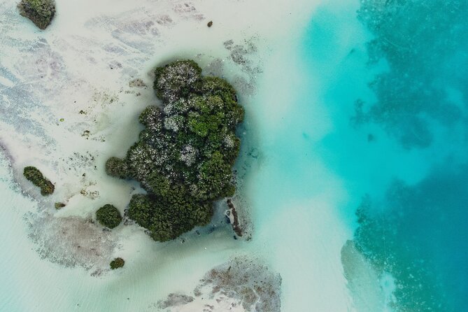 Bacalar Sunrise Stand Up Paddleboard Tour with Breakfast & Photos - What the three-hour schedule feels like