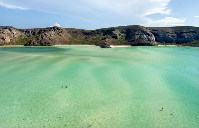 Balandra Beach & City Tour La Paz & Todo Santos hotel California - Key points before you book