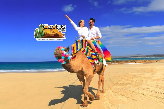 Beach Camel Ride and Encounter in Cabo - Riding a camel beside Migrino Beach