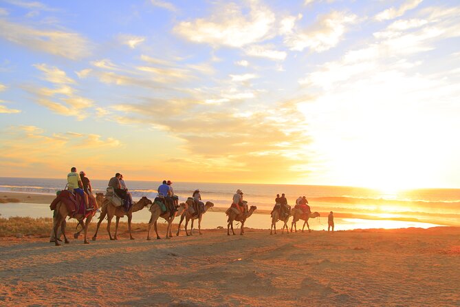 Beach Camel Ride and Encounter in Cabo - The transportation problem is the biggest practical concern
