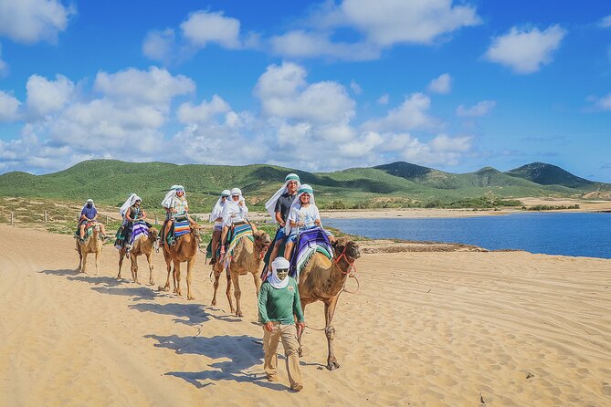 Beach Camel Ride and Encounter in Cabo - The $71.25 price needs a fuller calculation