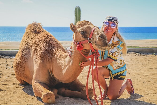 Beach Camel Ride and Encounter in Cabo - Safety, alcohol, and family suitability