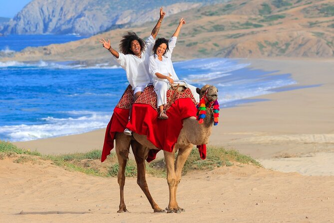 Beach Camel Ride and Encounter in Cabo - Cactus Tours is more than a beach ride