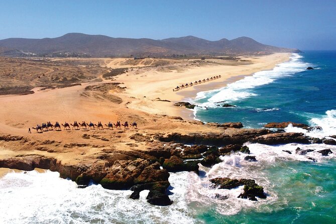 Beach CAN-AM SXS X3 and Camel Ride in Cabo - Buffet, refreshments, and tequila tasting
