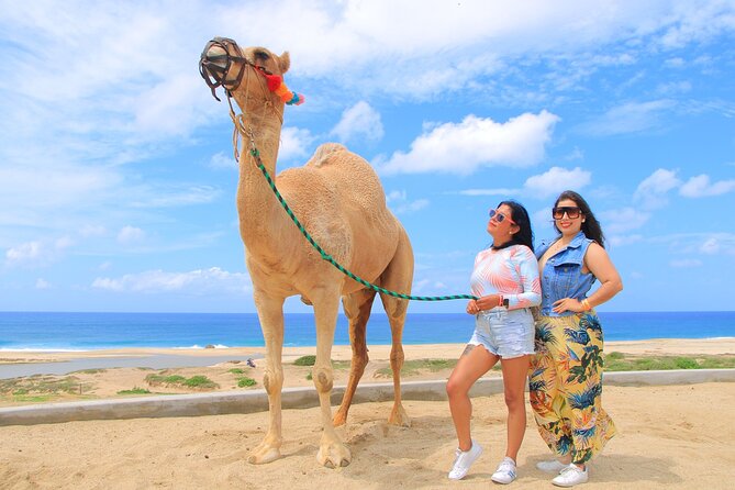 Beach CAN-AM SXS X3 and Camel Ride in Cabo - What the $175 price really covers