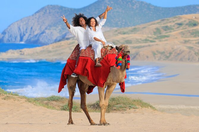 Beach CAN-AM SXS X3 and Camel Ride in Cabo - Timing, group size, and the pace of the day