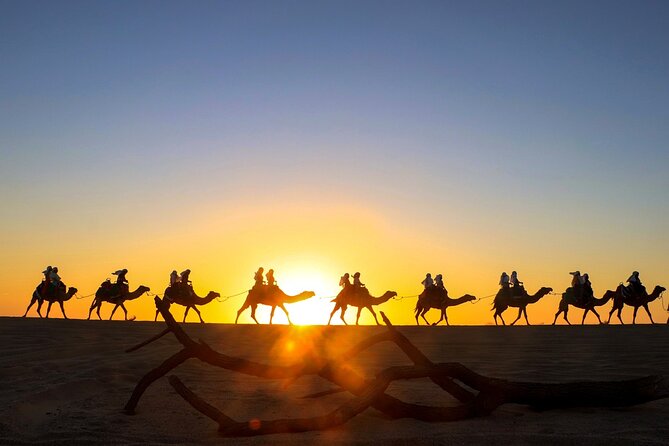 Beach CAN-AM SXS X3 and Camel Ride in Cabo - One hour of SXS driving across varied ground