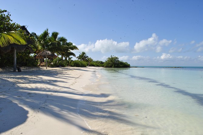 Beach Escape: Isla Contoy and Isla Mujeres with Snorkeling. - The early pickup shapes the whole day