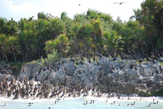 Beach Escape: Isla Contoy and Isla Mujeres with Snorkeling. - Reef snorkeling comes with rules and limits