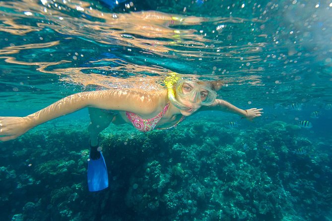 Beach Hopper Small-Group Snorkeling Tour in Los Cabos - Chileno Bay: a friendly first water stop
