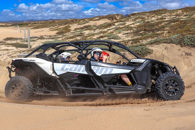 Beach UTV Adventure with Free Camel and Horseback Ride - One hour on a shared UTV across Baja trails