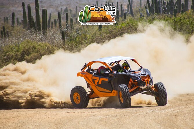 Beach UTV and Camel Ride Combo in Cabo - The real price: $100 plus extras