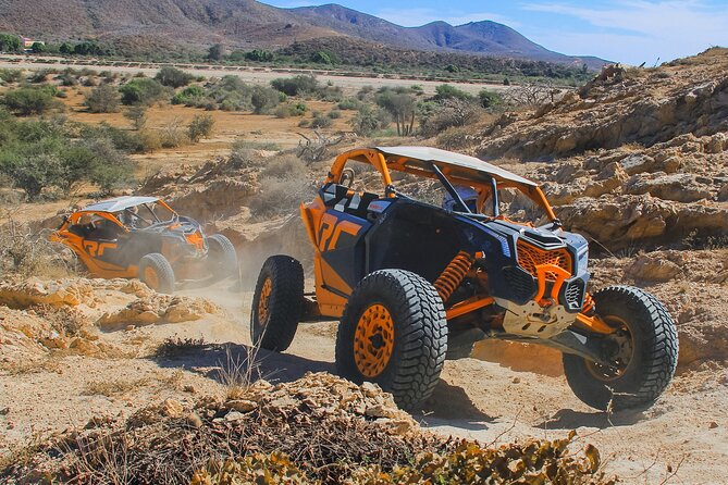 Beach UTV and Camel Ride Combo in Cabo - One hour in a Polaris RZR