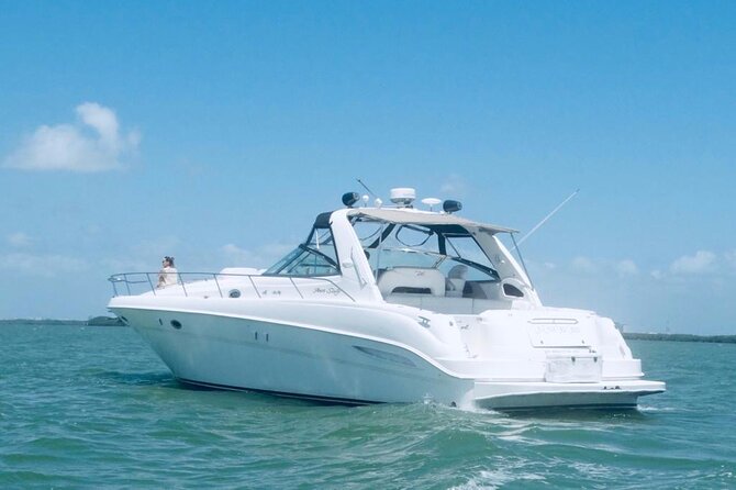Beautiful Yacht SeaRay 48ft / 15PAX 25P16 - Food, birthday extras, and what to budget