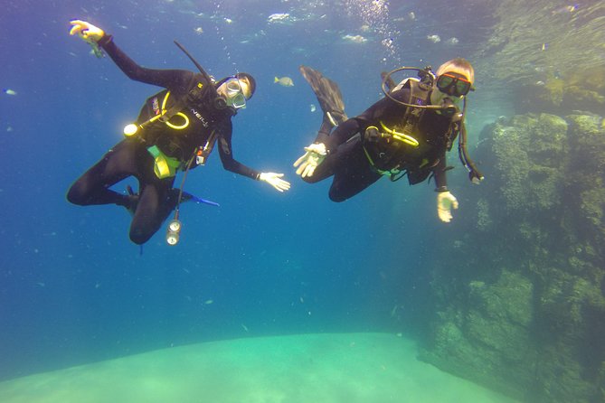Beginner Scuba Diving in Cabo San Lucas - Learning the basics before your five-minute boat ride