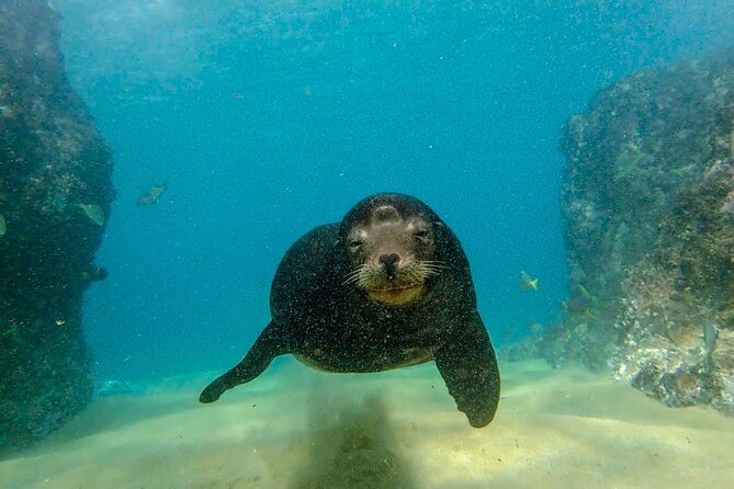 Beginner Scuba Diving in Cabo San Lucas - A scenic look at the Arch of Cabo San Lucas