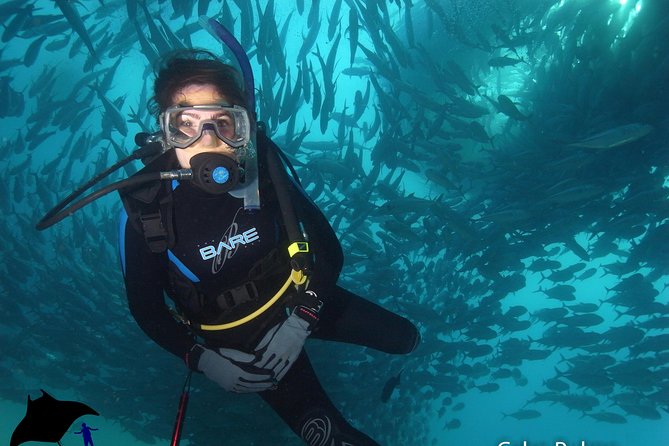 Beginner Scuba Diving in Cabo San Lucas - How the instructors handle nerves and mixed ability