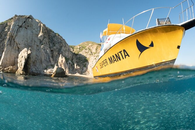 Beginner Scuba Diving in Cabo San Lucas - Practical tips for a better morning
