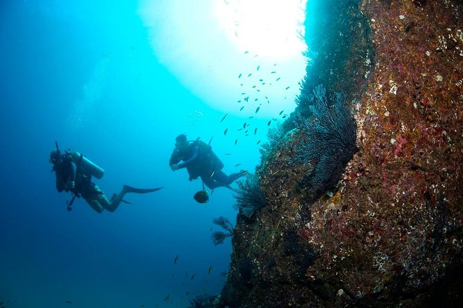 Beginner Scuba Diving in Cabo San Lucas - Pelican Rock and Cabo’s marine park
