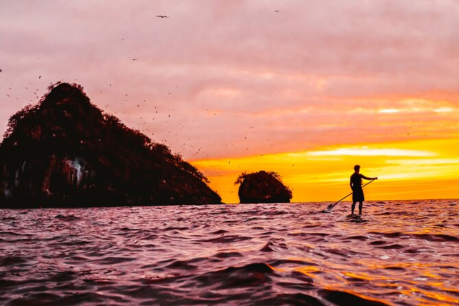 Bioluminescence by kayak or SUP to Los Arcos Puerto Vallarta - What the paddle is really like