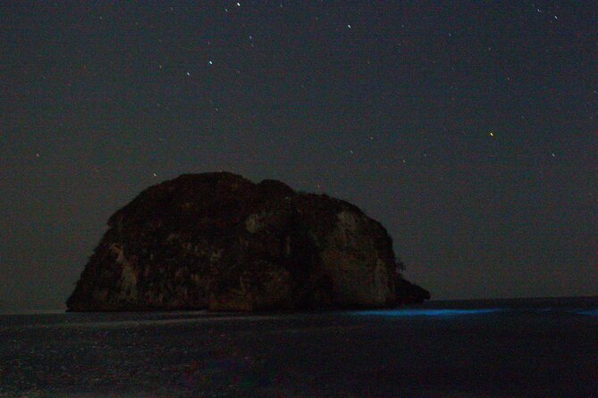 Bioluminescence & sunset local boat tour to Los Arcos Sanctuary - Who will enjoy this Los Arcos night tour?