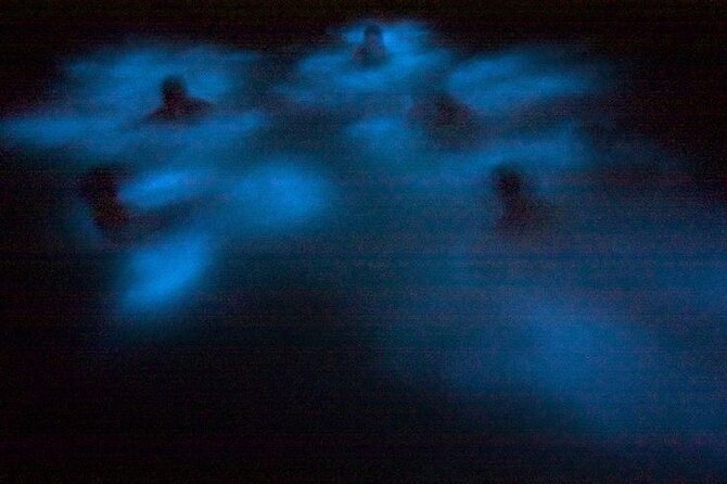 Bioluminescence & sunset local boat tour to Los Arcos Sanctuary - Practical ways to improve your night