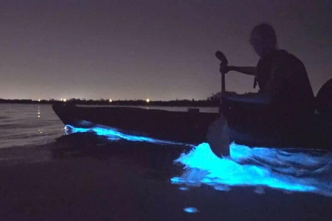 Bioluminescence Tour in Kayak in Holbox Island - From hotel pickup to Mosquito Beach