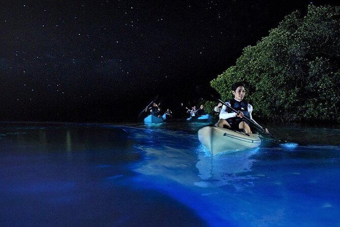 Bioluminescence Tour in Kayak in Holbox Island - Paddling into the dark