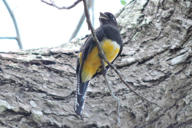 Birdwatching Cancun - The Breakfast Stop and Included Food