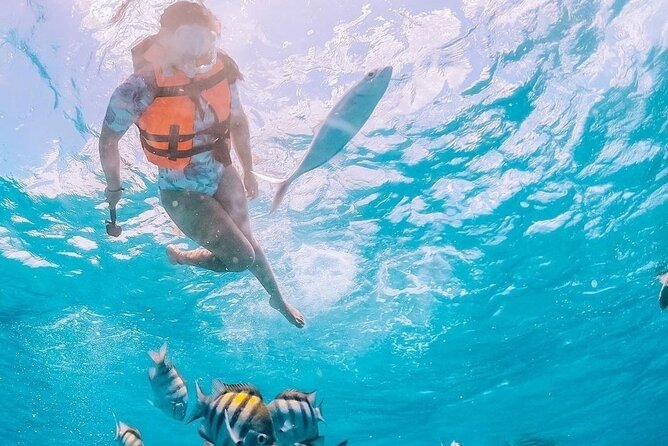 Boat and Snorkel Tour to 5 Islands of Los Arcos - Los Arcos: Puerto Vallarta’s best short boat outing