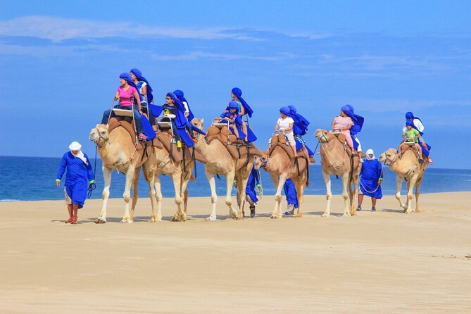 Boat Ride to the Arch and Beach Camel Ride in Cabo San Lucas - Who will enjoy this day most?
