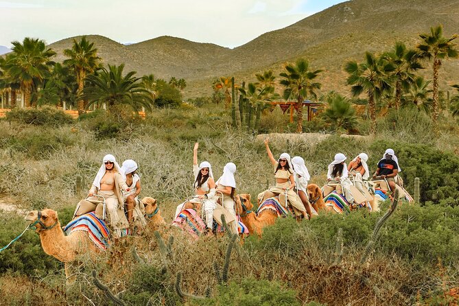 Boat Ride to the Arch and Beach Camel Ride in Cabo San Lucas - The long coastal transfer to Rancho Tierra Sagrada